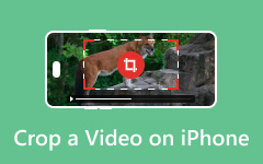 Recortar un video en iPhone