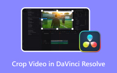 Crop Video in Davinci Resolve