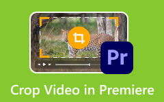 Crop Video in Premiere