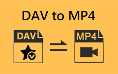 DAV в MP4