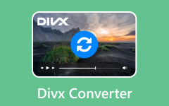 Divx Converter