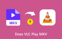 Does VLC Play MKV