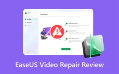 EaseUs Repair Video Review