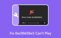 إصلاح رمز الخطأ 0XC00d365E5