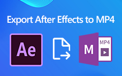 Exportujte After Effects Video jako MP4
