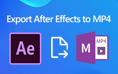 After Effects'i MP4'e Aktar