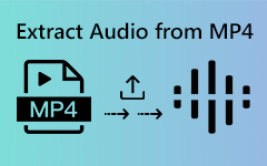 Extraheer audio van MP4