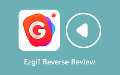 Revisão de vídeo reverso Ezgif