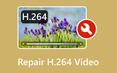 إصلاح مقاطع الفيديو H264