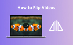 Flip video