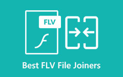 FLV Dosya Birleştirici