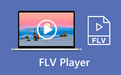 FLV Player