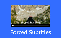 Forced Subtitles