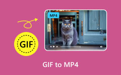 Конвертировать GIF в MP4