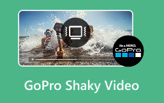 GoPro Shaky Video