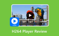 H.264 Player Review