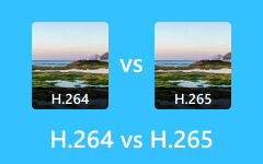 H264 مقابل H265