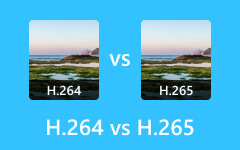 H264 mod H265