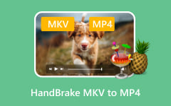 Handbrake MKV to MP4