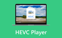 HEVC lejátszó