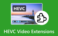HEVC Videoo kiterjesztések