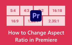 Come modificare le proporzioni in Premiere