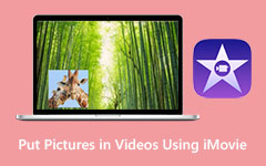 ビデオiMovieに画像を入れる方法