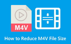 Come ridurre le dimensioni del file M4V