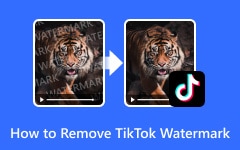 A TikTok vízjel eltávolítása