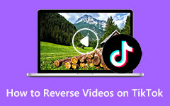 Cómo invertir videos usando TikTok