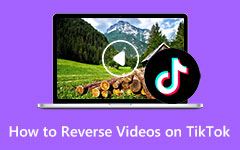 Comment inverser une vidéo avec TikTok