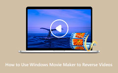 كيفية عكس مقاطع الفيديو من Windows Movie Maker