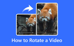 How to Rotate a Video