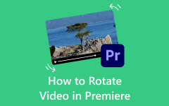 Cómo rotar video en Premiere