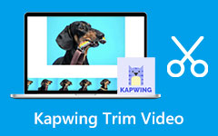 Como usar o vídeo Kapwing Trim