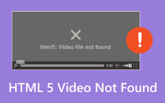 Nie znaleziono wideo HTML5