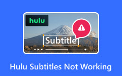Hulu Subtitles Not Working