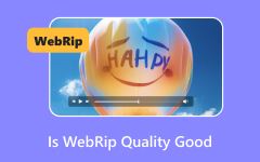 Onko WebRip-laatu hyvä