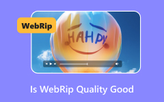 ¿Es buena la calidad de WebRip?