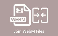 Unirse a archivos WEBM