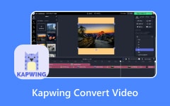 Kapwing Convert Video