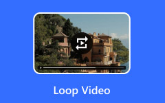Loop Video