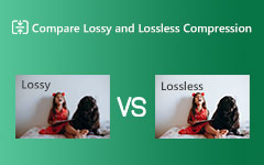 Lossy versus Lossless