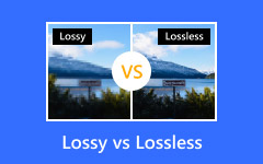 Lossy versus Lossless