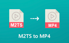 M2ts - MP4 arası