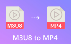 M3U8 à MP4