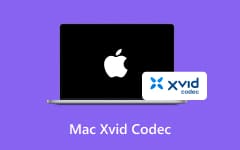 Mac Xvid Codec