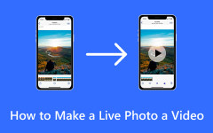 Convierte una foto en vivo en un video