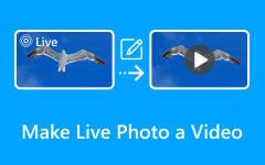 Make Live Photo a Video