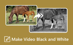 Make Video Black and White